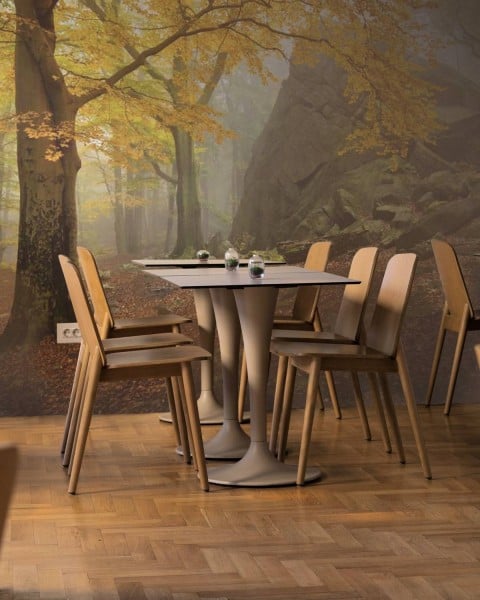 MARBURG | Forest in Autumn